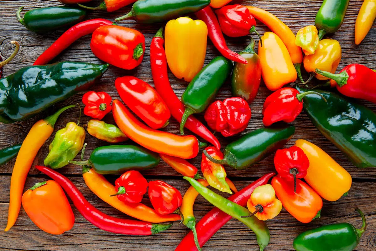 Picante 101: ¿Por qué los mexicanos sentimos placer con el dolor del chile?