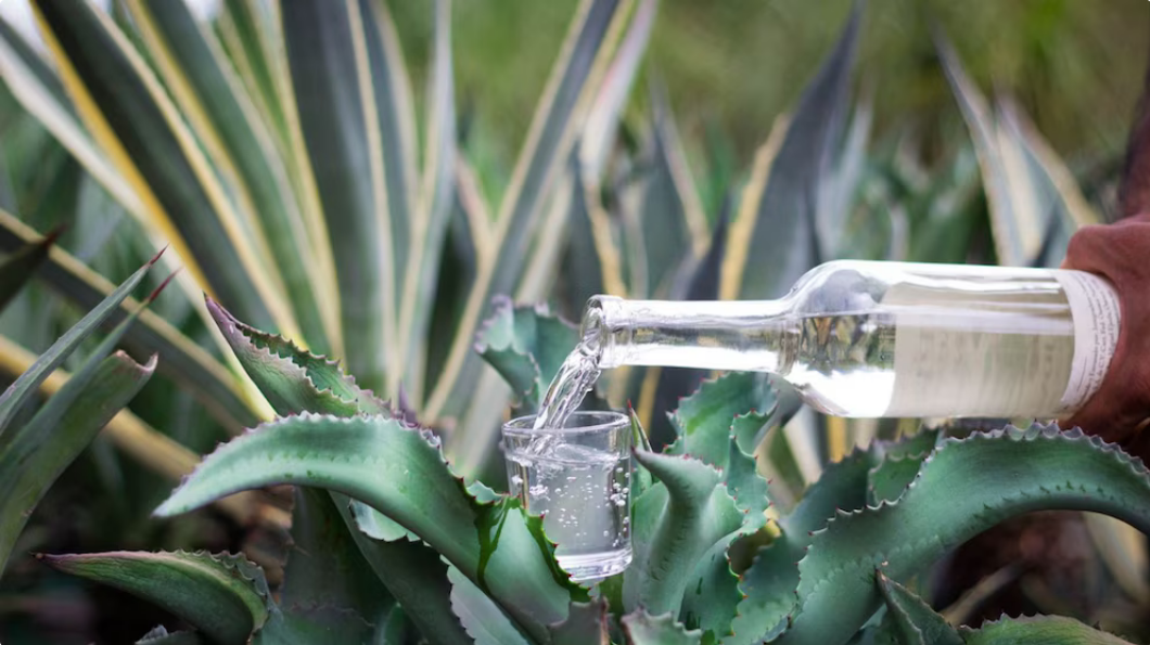 Oaxaca, el destino ideal para un San Valentín lleno de sabor y romance