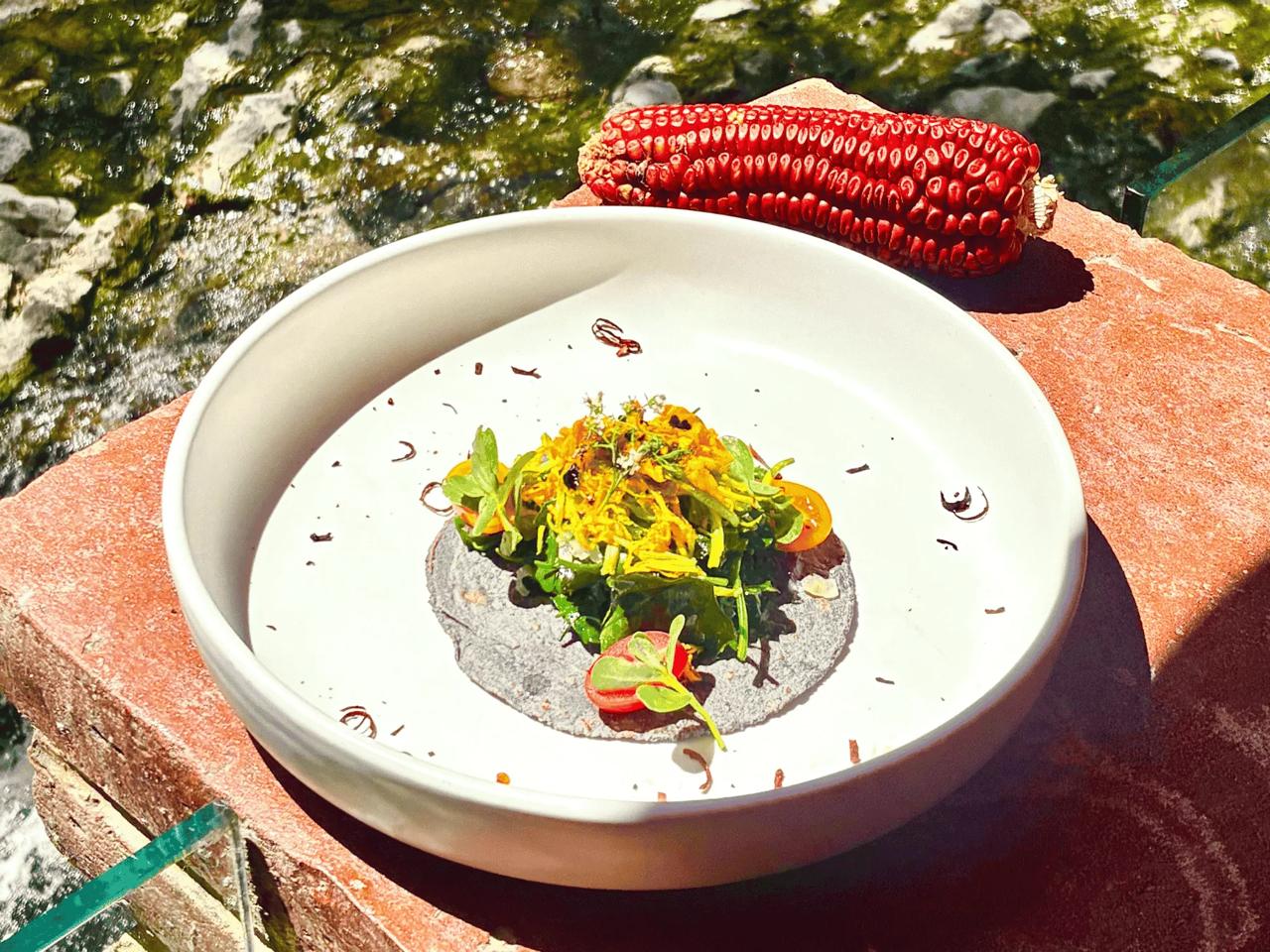 Semana de la Cocina Tlaxcalteca 2026: sabores, tradición y experiencias únicas