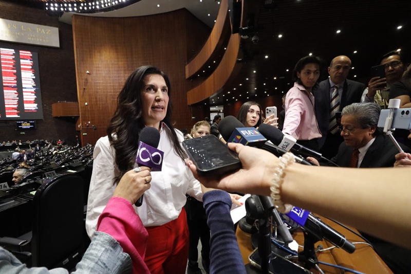 Kenia López Rabadán, equilibrio de poderes, política pública, democracia, INE