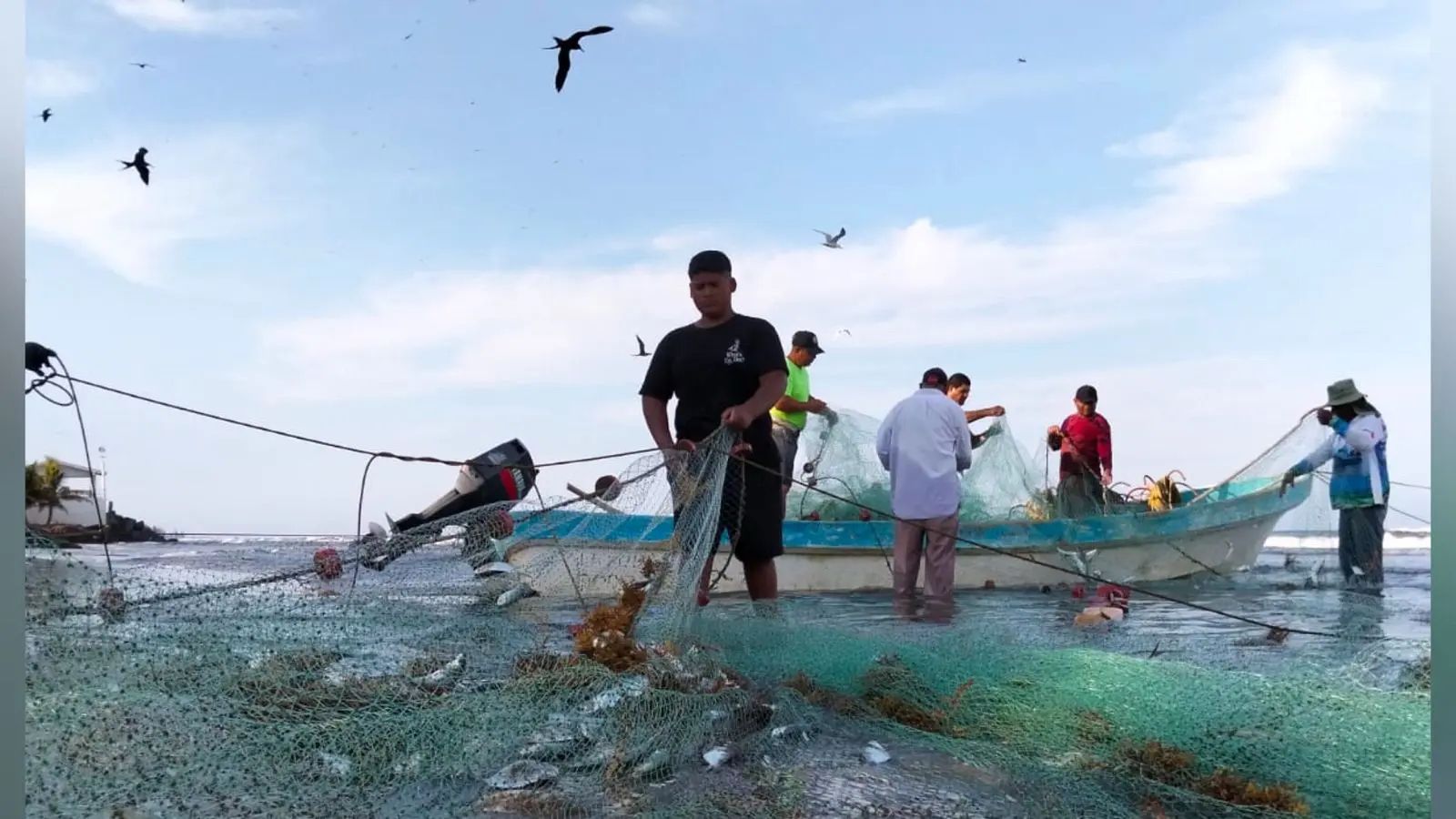 Hidrocarburo y sargazo paralizan pesca en Veracruz: 200 pescadores afectados en Alvarado